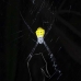 spidernusalavu_v_0705_2428.jpg